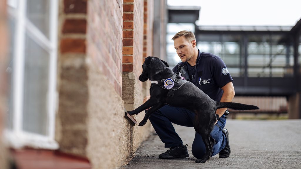 Virkapukuun pukutunut vartija ja koira tiilisenän vierellä.