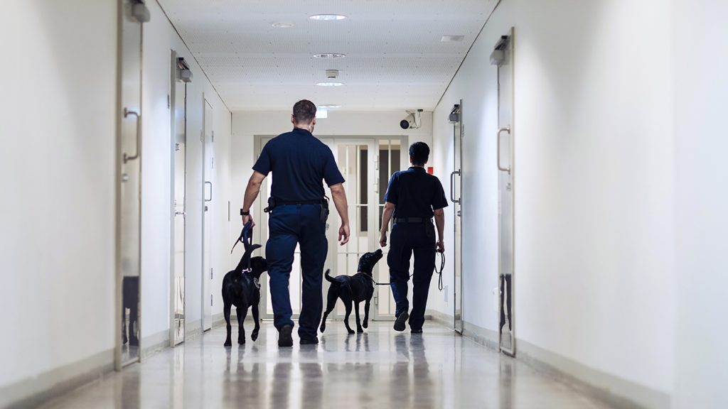 Kaksi henkilöä ja kaksi koiraa kävelemässä käytävällä.